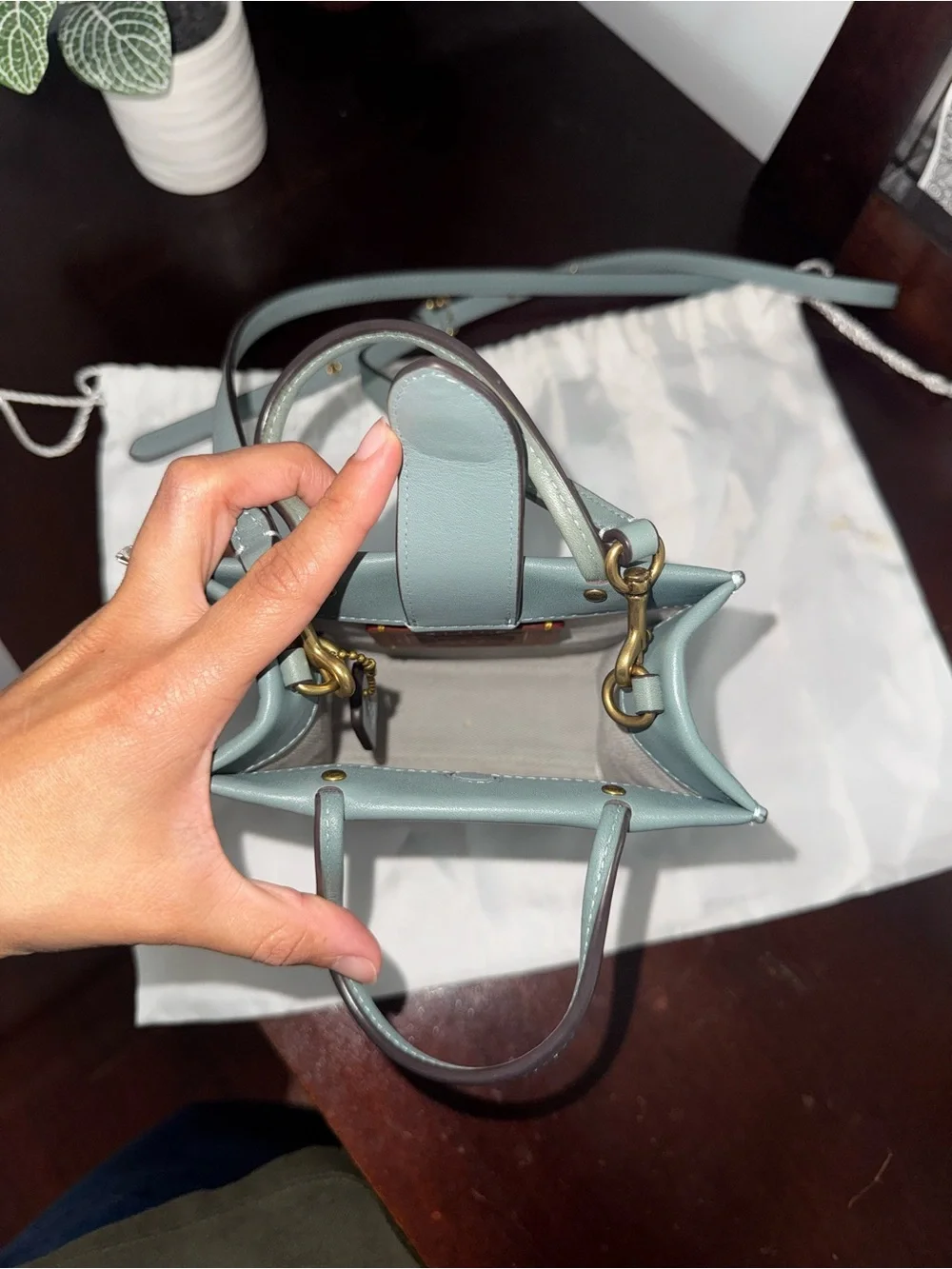 Coach Mini Cashin Carry Tote